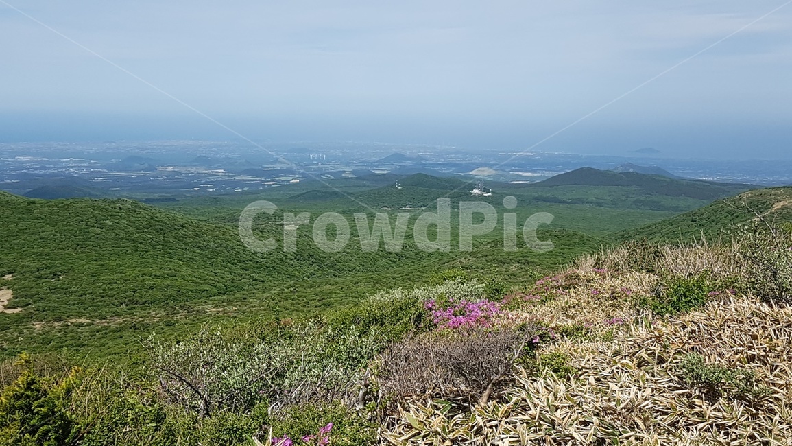 제주도,한라산,영실코스,오름군락,진달래능선