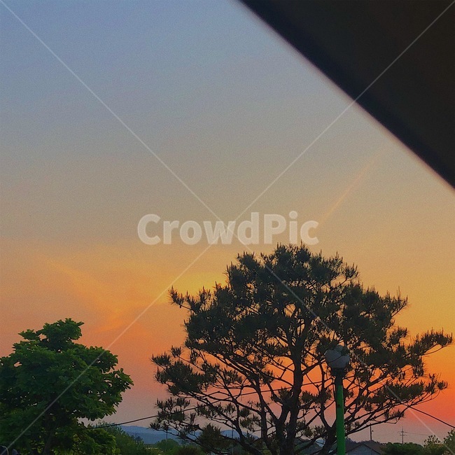 하늘,노을,나무,sky,sunset