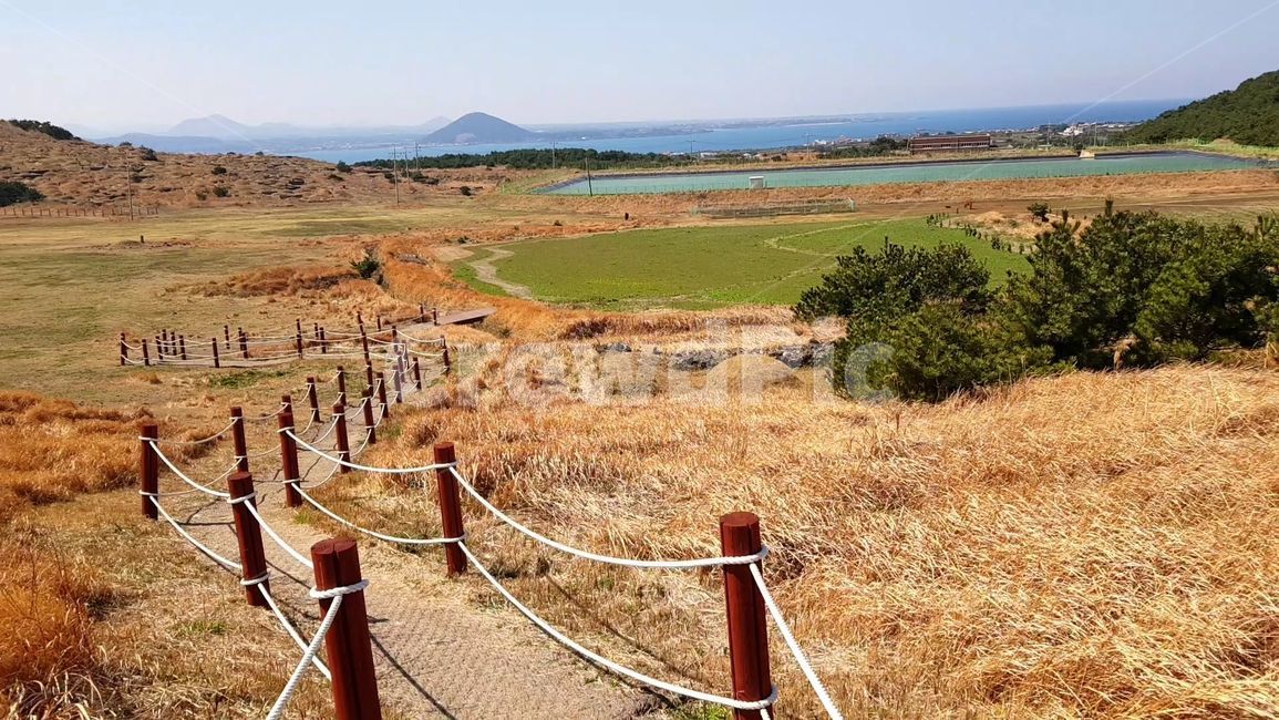 우도,대한민국,자연,제주도,가을,갈대,억새,udo,korea,nature,jejuisland,fall,silvergrass,자연,풍경,nature,landscape,한국자연풍경,한국자연경관,korea nature landscape,outdoors,옥외
