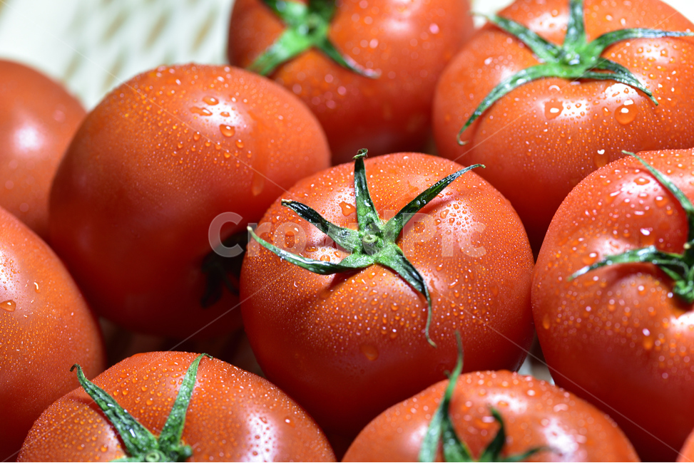 토마토,채소,신선,먹거리,건강식,리코펜,음식,식재료,요리,food,cook,meal,dishes,food reserves,채소,야채,vegetables