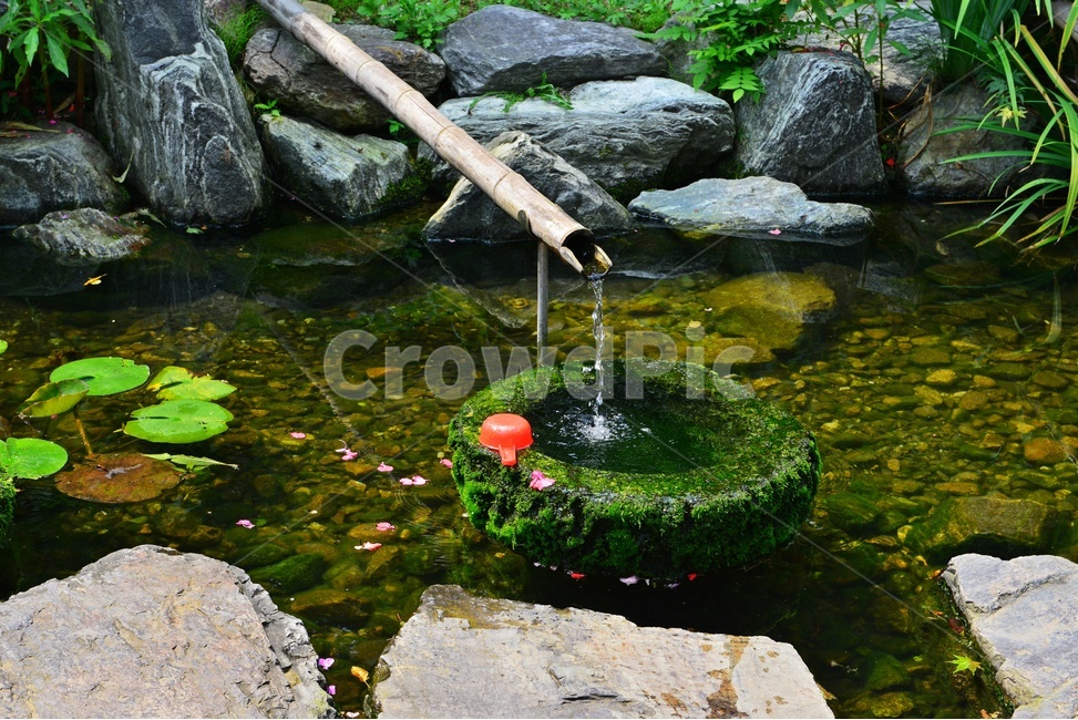 nature,자연,물,water,outdoors,옥외,plant,식물,flagstone,판석,돌다리,학독,돌학독,대나무,물흐름,식수,바가지,프라스틱,프라스틱바가지,낙엽유수,꽃잎
