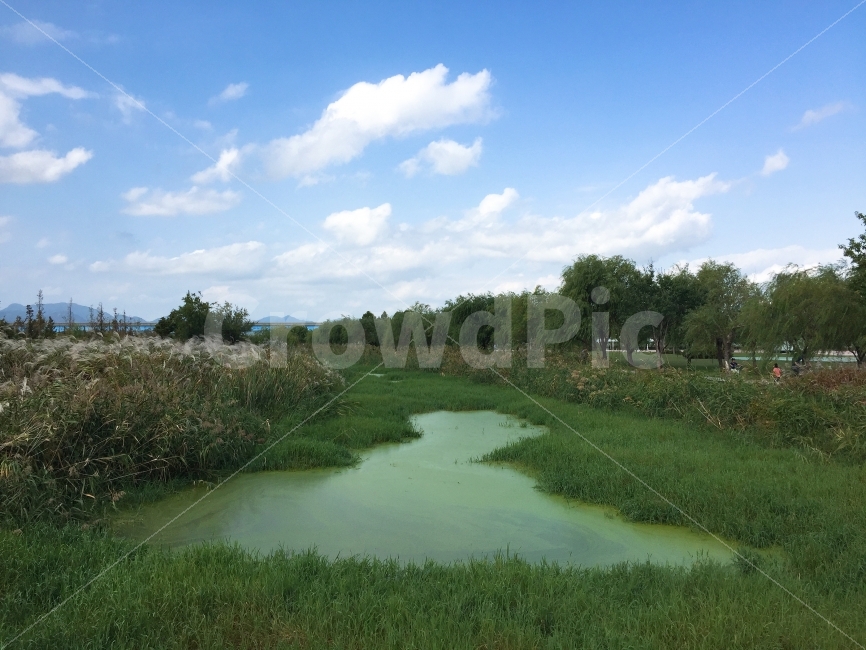 하늘,풍경,산책,나들이,공원,자연,풍경,nature,landscape,한국자연풍경,한국자연경관,korea nature landscape,land,땅,outdoors,옥외,water,물