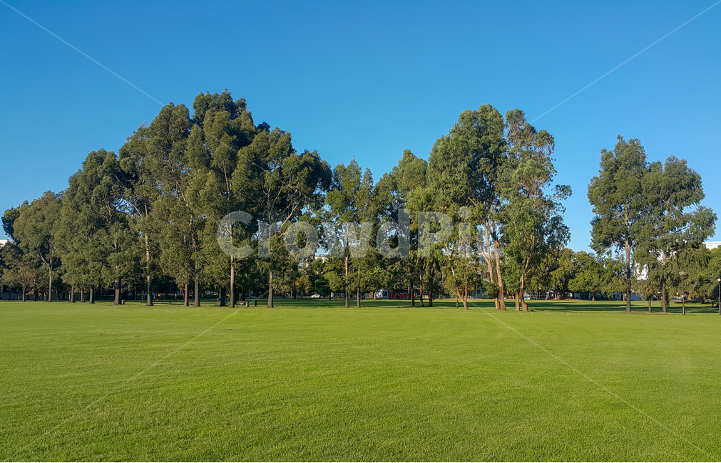 공원,잔디,하늘,park,grass,경치,sky,구름,cloud,나무,tree,초록,파랑,green,blue,자연,풍경,nature,landscape,plant,식물,lawn,outdoors,옥외