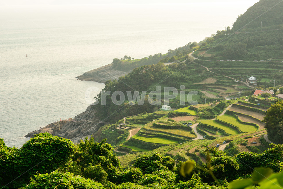 다랭이마을,논,경치,남해,바다,자연,풍경,nature,landscape,농업,농사,agriculture,farming,farming industry,scenery,outdoors,옥외
