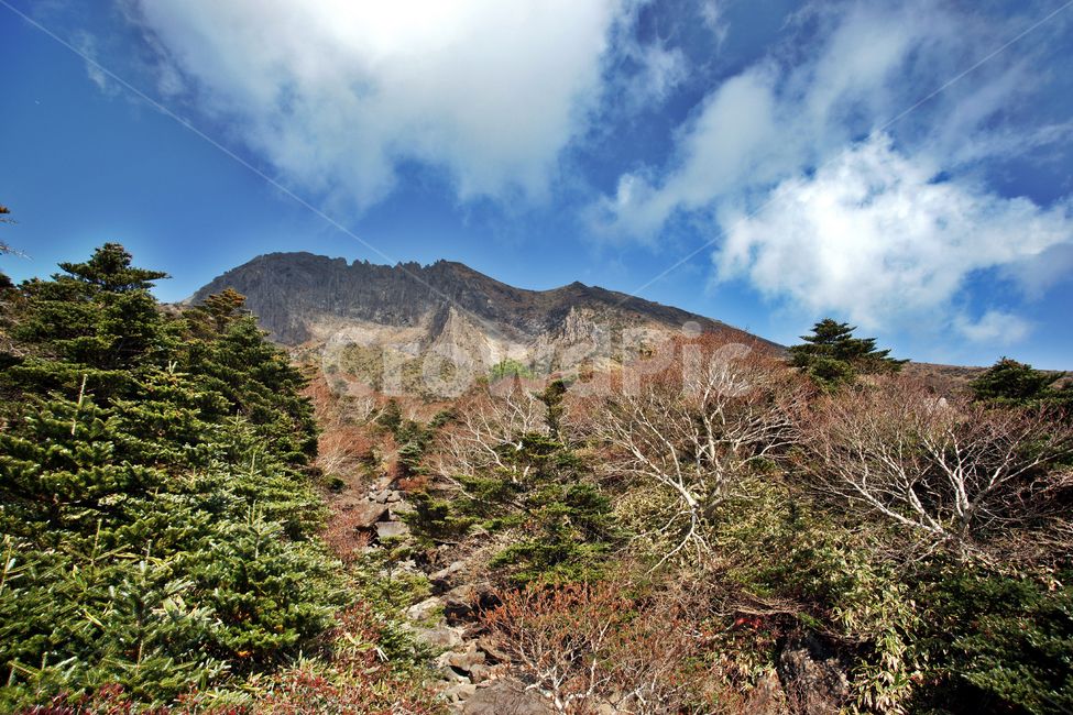 남벽,한라산,제주도,한라산국립공원,돈내코코스,조릿대,관목,푸른하늘,구름,암벽,제주도,jeju,jeju island,nature,자연,outdoors,옥외
