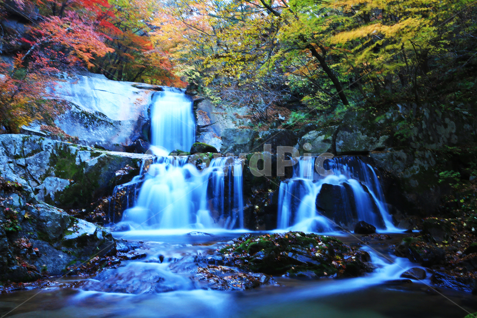 water,물,nature,outdoors,옥외,waterfall,폭포,tree,나무,plant,식물,leaf,잎,stream,흐름,물흐름,강원도,인제,방태산,방태산폭포,방태산가을,단풍,단풍잎,가을,추색,만추,낙엽,계곡,경치,경관,풍경,인제가을,한국자연풍경,한국자연경관,korea nature landscape