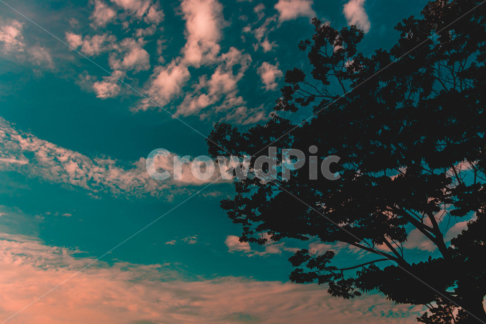 색감,느낌,감성,하늘,구름,일몰,분위기,colorful,vivid,moody,sky,cloud,sunset,일산,호수공원,자연,풍경,nature,landscape,outdoors,옥외