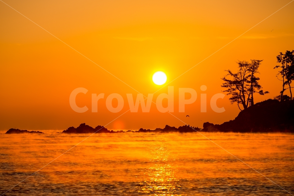 강양항,일출,물안개,갈매기,겨울,바다,풍경,landscape,sunrise,winter,sea,자연,풍경,nature,landscape,outdoors,옥외,sunlight,햇빛