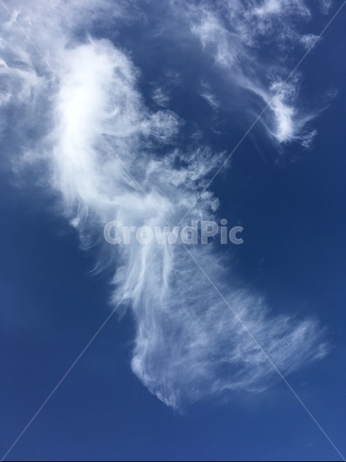 하늘,sky,구름,cloud,날씨,weather,nature,자연,날개,깃털