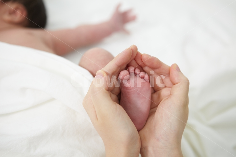 발,손,아기,베이비,신생아,영유아,아기,애기,아이,infants,baby