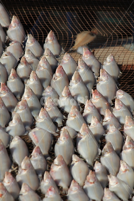 항구,포구,어촌,생선,통영,음식,식재료,요리,food,cook,meal,dishes,food reserves,수산물,해산물,fishery products,seafood
