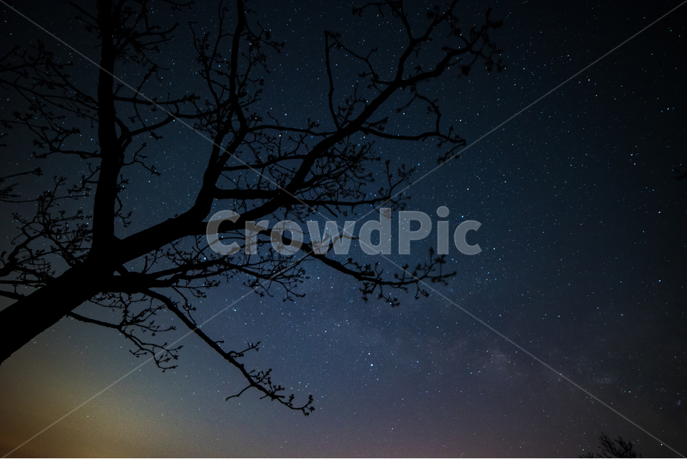 별,스타,나무,은하수,황매산,야경,밤,풍경,nightscape,night,landscape,nature,자연,outdoors,옥외,astronomy,천문학,universe,우주,starry sky,별이 빛나는 하늘,outer space,대기권 밖