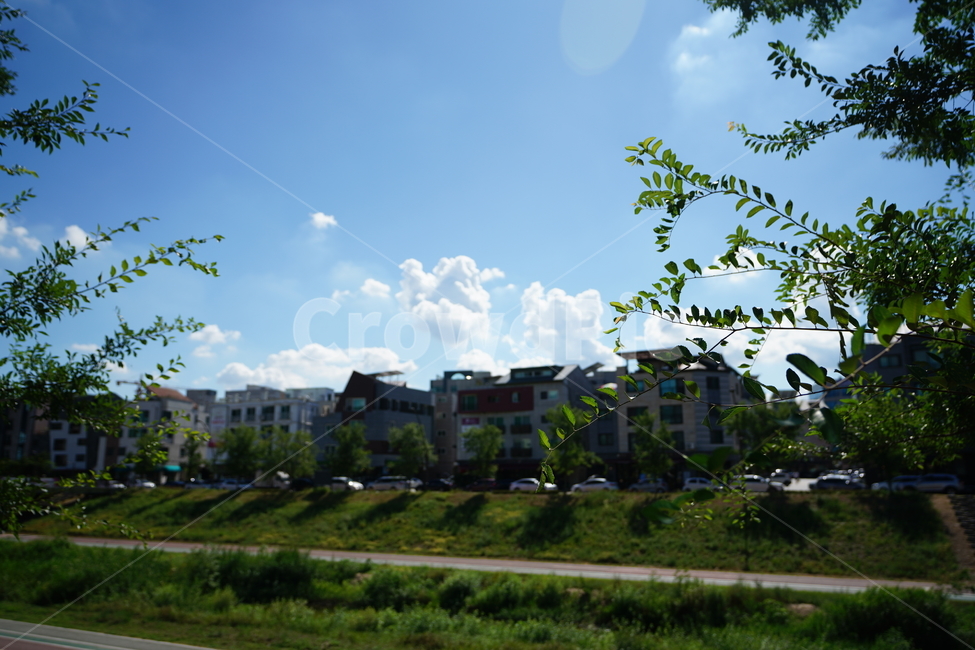 구름,하늘,날씨,파랑,블루,풍경,sky,cloud,색감,blue,자연,풍경,nature,landscape,grass,잔디,plant,식물,outdoors,옥외
