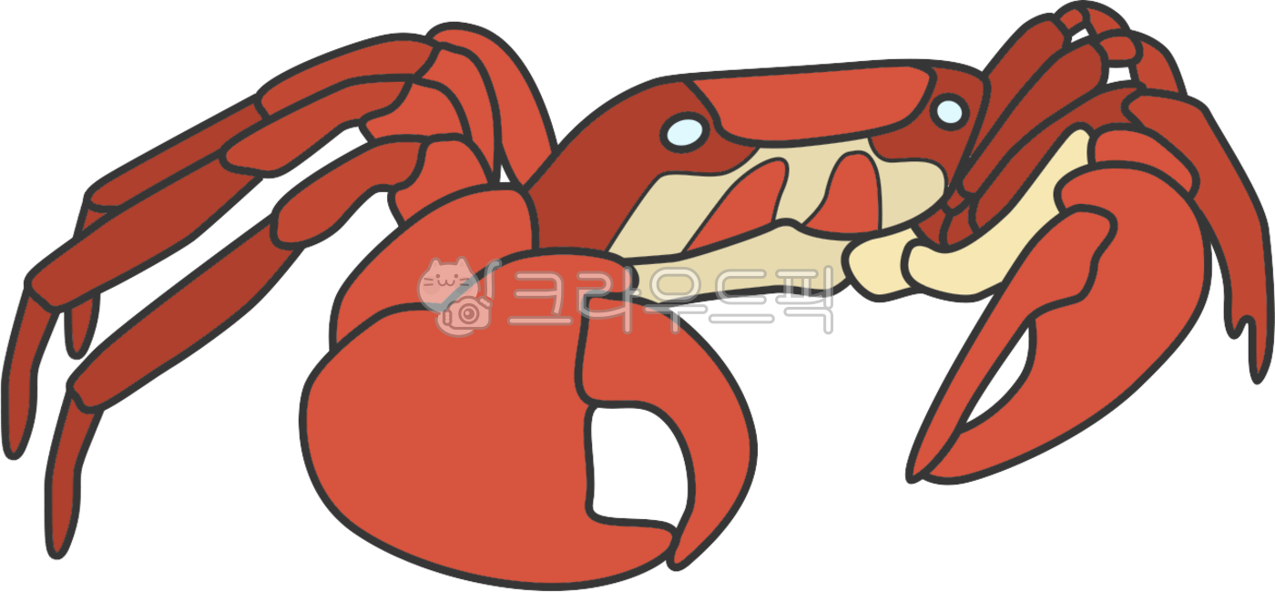 바다생물,바다,바다동물,수족관,아쿠아리움,바다생물일러스트,바다일러스트,바다동물일러스트,수족관일러스트,아쿠아리움일러스트,게,크랩,꽃게,게일러스트,크랩일러스트,꽃게일러스트