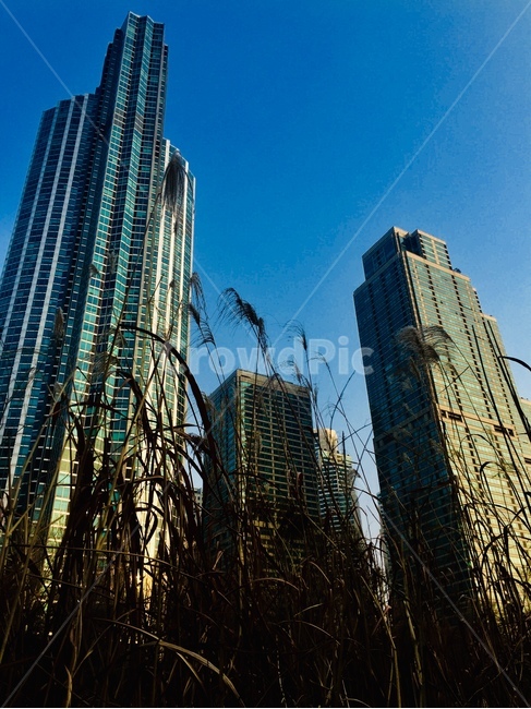 officebuilding,사무실건물,building,건물,하늘,건축물,건물외관,exterior,building,structure,architecture,construction