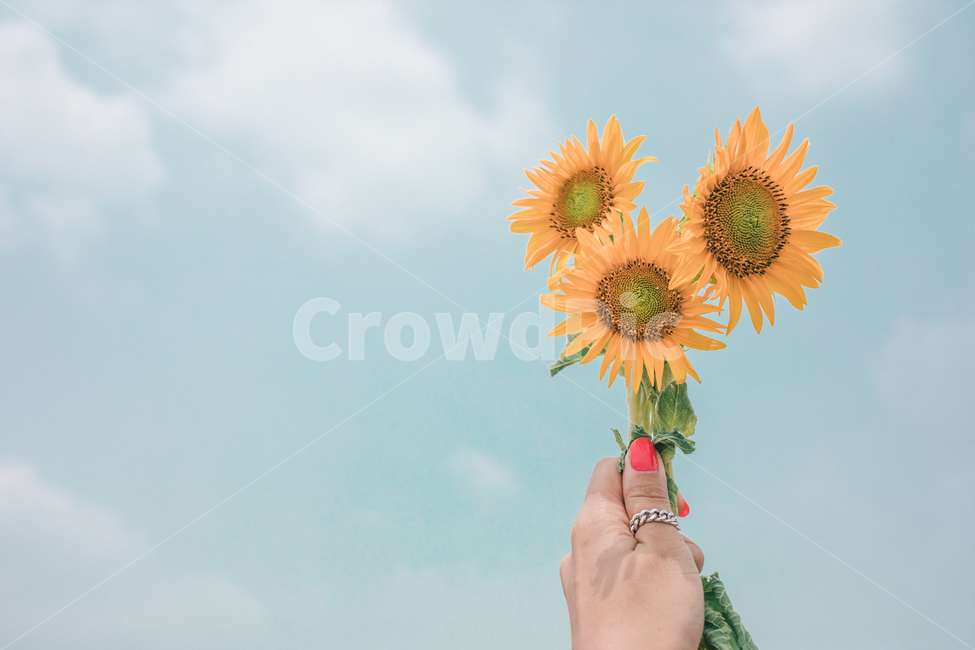 ring,yellow,summer,cloud,healing,Emotion,hand,sky,natural,nature,emotional,sunflower,flower,manicure,summer flowers,Sunny