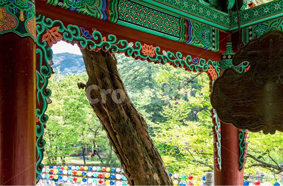 사찰,전통,문화유산,건축,단청,마곡사,문양,운판,종각,문화재,관광명소,한국의미,한국전통,한국문화,korean traditional,korean culture,종교,신앙,religion,belief,faith,건축물,건물외관,exterior,building,structure,architecture,construction
