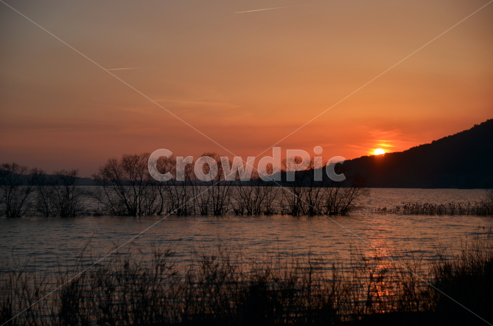 호수,나무,감성,노을,풍경,갈대,반영,tree,lake,light,자연,풍경,nature,landscape,outdoors,옥외,dawn,새벽,red sky,붉은 하늘,sunset,일몰,sky,하늘,dusk,황혼