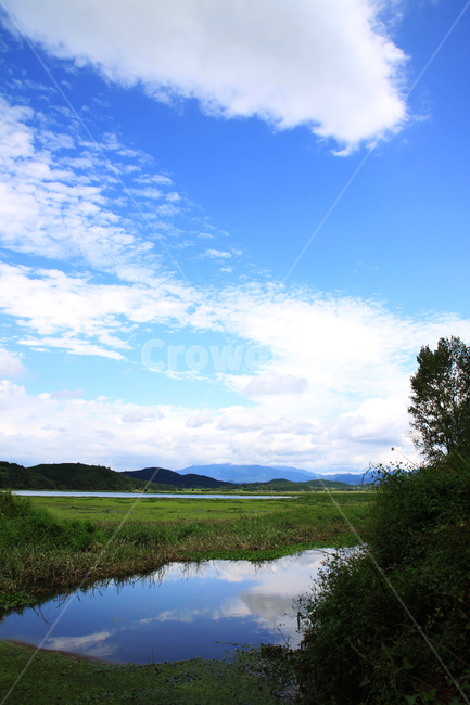 outdoors,옥외,nature,자연,water,물,구름,하늘,늪,우포늪,풍경