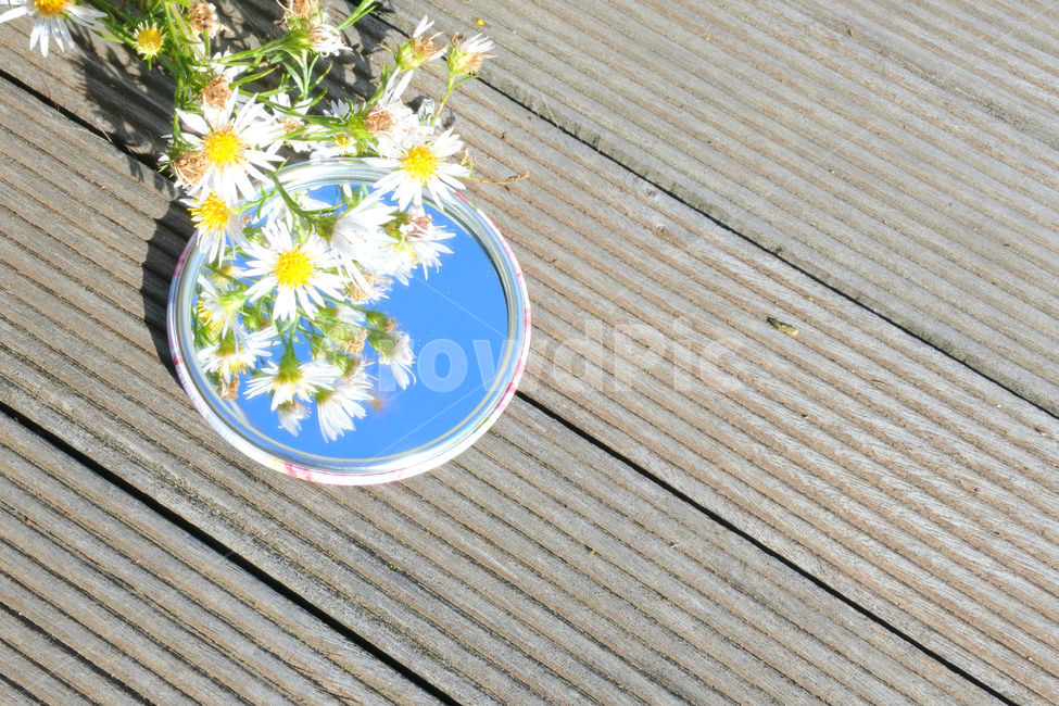 컨셉,꽃,거울,하늘,풀,자연,mirror,mirror,꽃,flower