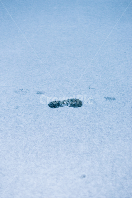 동네,풍경,landscape,눈사람,눈,겨울,snow,배경화면,winter,실외,야외,겨울,계절,winter,season,감성,sensible,feeling