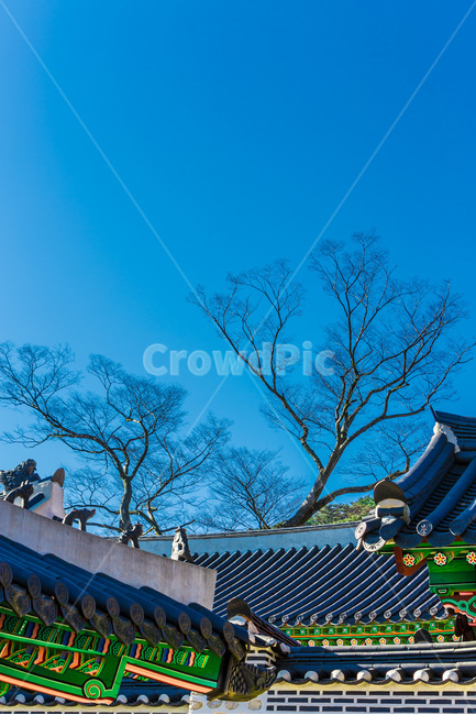문화유산,고궁,단청,선,패턴,한국의미,한국전통,한국문화,korean traditional,korean culture,건축물,건물외관,exterior,building,structure,architecture,construction