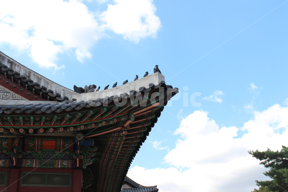 고궁,기와,문황재,한국전통,건물,서울,여행,야외,하늘,구름,흰색,파랑색,궁,맑음,왕조,옛스러움,조선,한국전통,한국문화,korean traditional,korean culture,건축물,건물외관,exterior,building,structure,architecture,construction