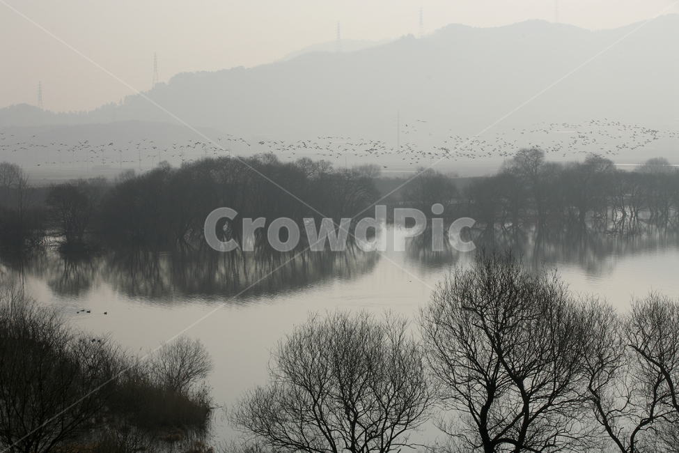 자연,nature,주남저수지,저수지,반영,아침,나무,겨울,철새,자연,풍경,nature,landscape,weather,날씨,fog,안개,outdoors,옥외