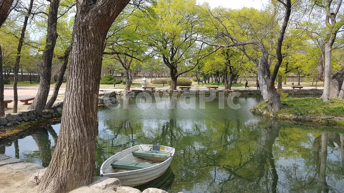 광한루,풍경,배경,여름,호수,나무,녹색
