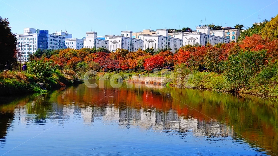 water,물,nature,자연,outdoors,옥외,분당탄천,분당탄천의가을,가을,계절,fall,autumn,season