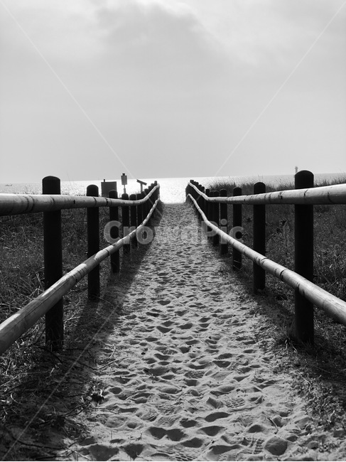 흑백,해변,바다,서해,모래,오후,자연,풍경,nature,landscape,해변,바다,beach,sea,흑백,모노톤,monochrome,black and white,railing,난간,banister,handrail,water,물