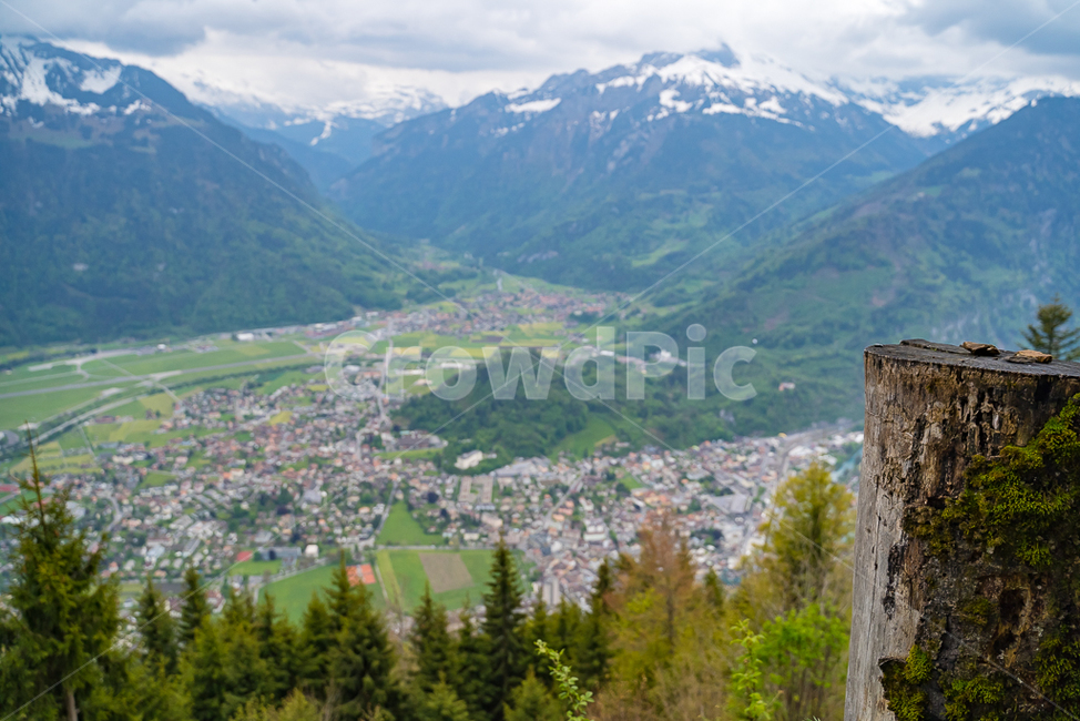 스위스,자연,풍경,통나무,그림같은도시,nature,나무,harderkulm,전경,schweiz,유럽