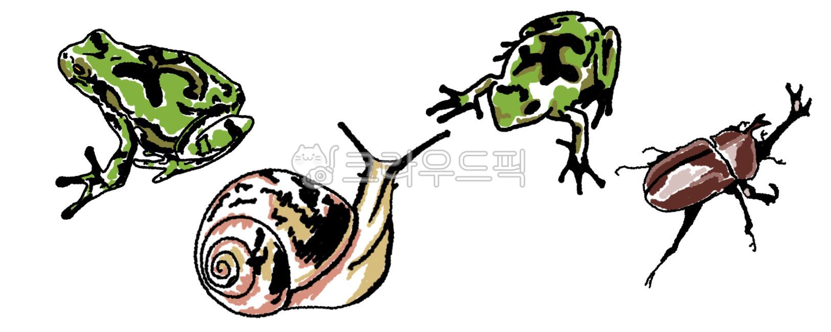 개구리,달팽이,장수풍뎅이,곤충,파충류,양서류,일러스트,단순화,개구리단순화,달팽이단순화