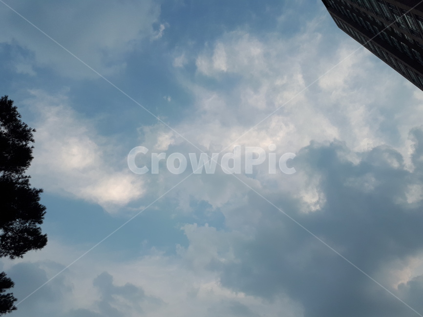 하늘,구름,하늘구름,깃털느낌,신기,오묘,bluesky,amazing,cloud,sky