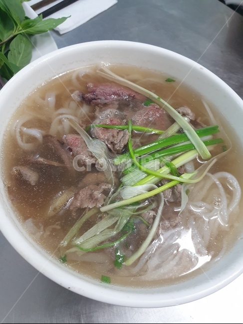 쌀국수,현지식,베트남,나트랑,고수,food
