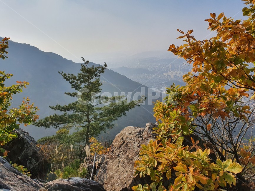 nature,자연,단풍,산,가을,autumn,단풍나무,가을산,계절,tree,나무,풍경,가을,계절,fall,autumn,season,자연,풍경,nature,landscape