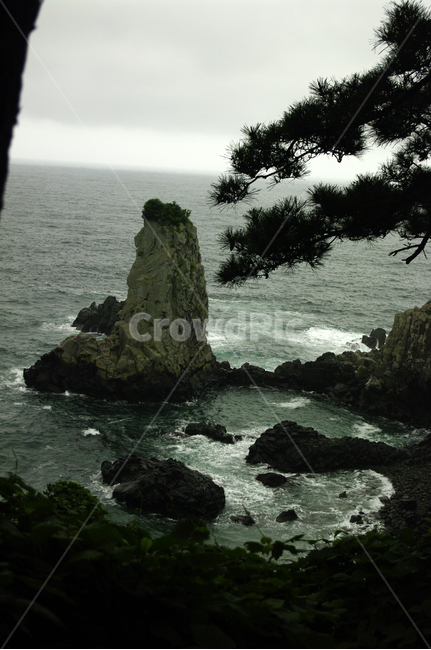 제주,바다,외돌개,바위,풍경,자연,풍경,nature,landscape,한국자연풍경,한국자연경관,korea nature landscape,제주도,jeju,jeju island,outdoors,옥외,water,물,ocean,대양,sea,land,땅,shoreline,해안선,promontory,곶,coast,연안