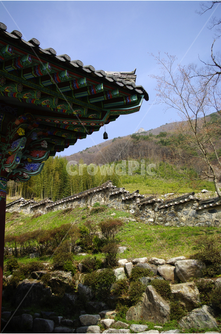 한국,밀양,표충사,사찰,절,전통,풍경,종소리,한국전통,한국문화,korean traditional,korean culture,건축물,건물외관,exterior,building,structure,architecture,construction