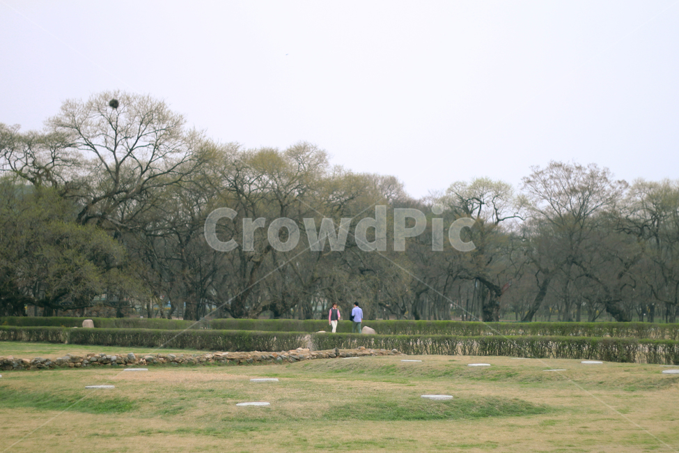 커플,자연,공원,사랑,풍경,자연,풍경,nature,landscape,outdoors,옥외,field,들