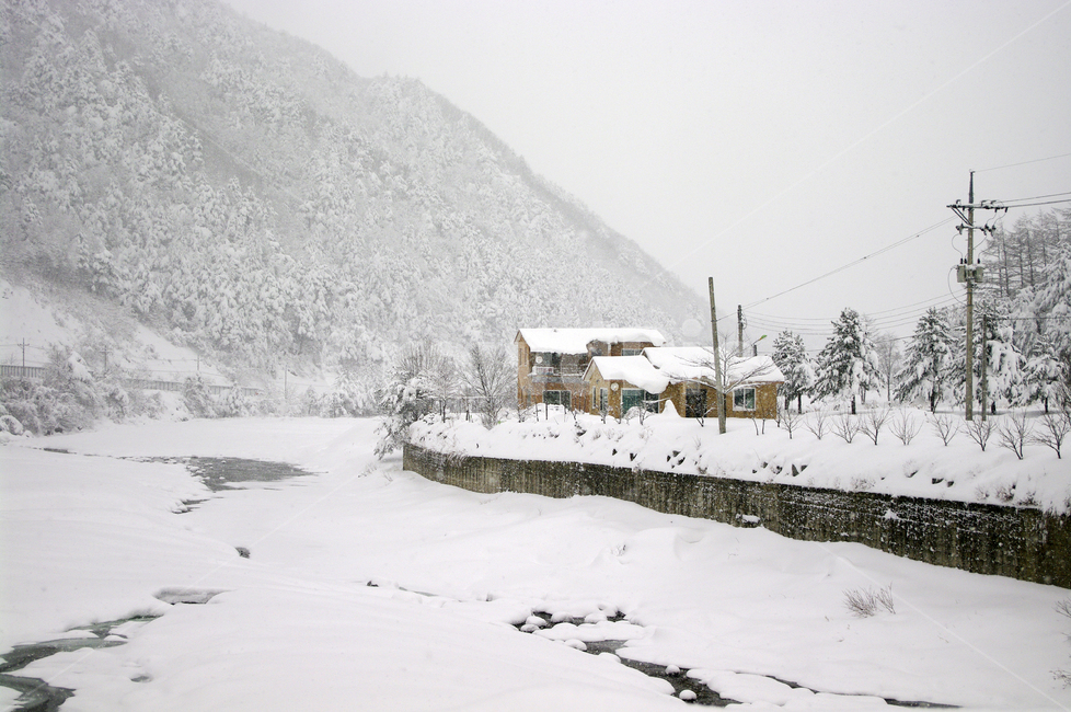 겨울,눈,설경,풍경,나무,강,겨울,계절,winter,season,시골,마을,풍경,landscape,country,rural,town