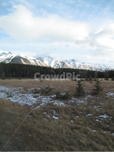 설산,눈,잔디,로키산맥,캐나다,rockymountains,canada,yohonationalpark,요호국립공원,구름,나무,tree,겨울