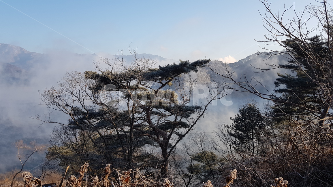 파로호,겨울파로호,파로호물안개,상고대,호수물안개