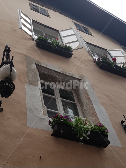 homedecor,가정장식,window,창문,오스트리아,창문장식,꽃,건축물,건물외관,exterior,building,structure,architecture,construction