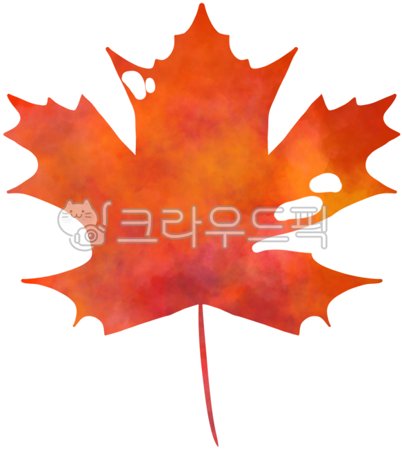 Fallen leaves with holes,leaves,fallen leaves with holes,insect-eaten leaves,perforated leaves,fallen leaves with holes,maple leaves,maple leaves,watercolor,watercolor maple leaves,watercolor maple leaves,fall,pretty maple leaves,fall sensibi