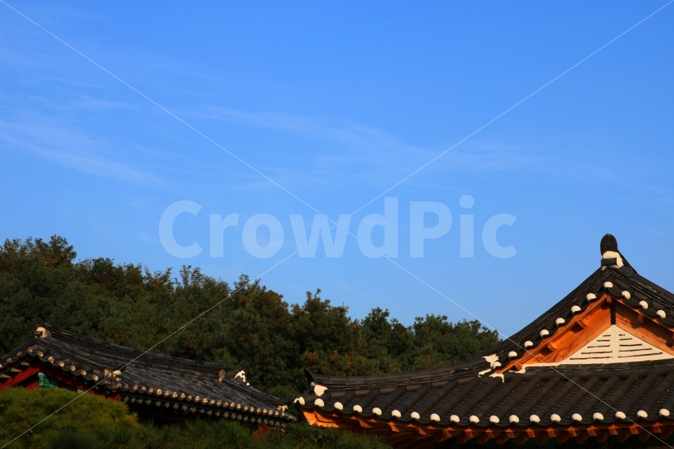 기와,한국,한국적인,전통,지붕,건물,패턴,하늘,sky,blue,평화,평화로운,여유로운,숲,한국전통,한국문화,korean traditional,korean culture,건축물,건물외관,exterior,building,structure,architecture,construction