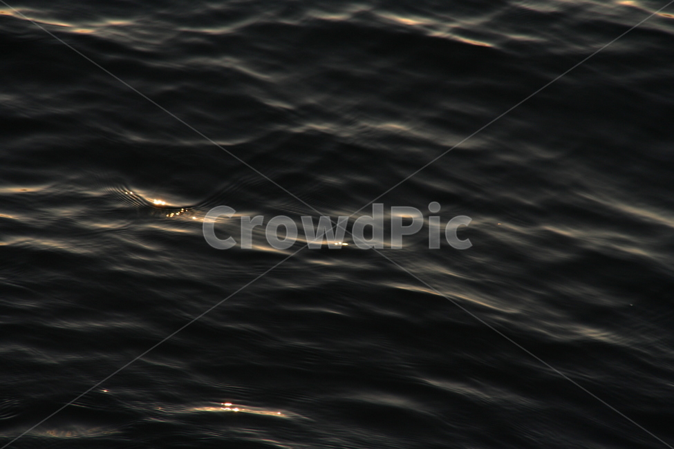 빛,물,물결,바다,호수,water,light,석양,텍스처,질감,패턴,texture,pattern