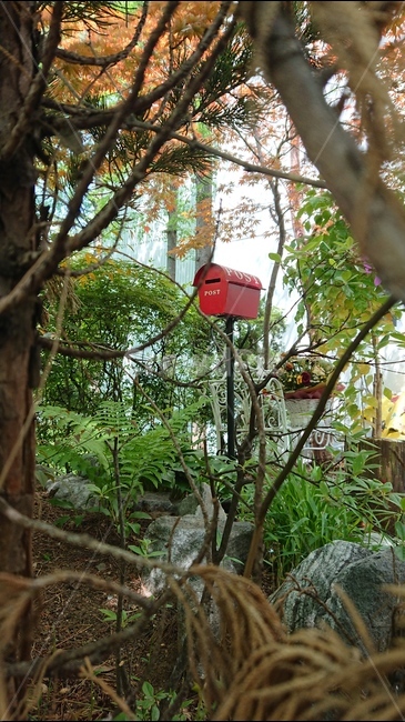 숲속,우체통,빨간색,빨간우체통,레드,post,postbox,포스트박스,식물,자연,plants,nature,나무,trees,wood