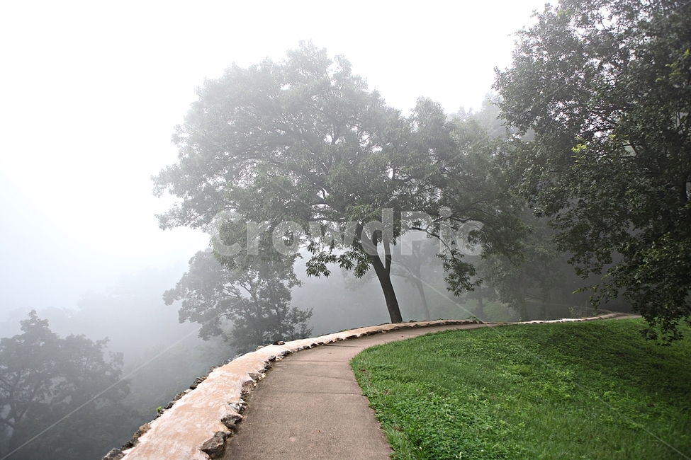 공주산성,산성,성,성곽,길,둘레길,숲,숲길,안개,돌담,여름,풍경,벽,방어벽,흙담,나무,식물,유네스코