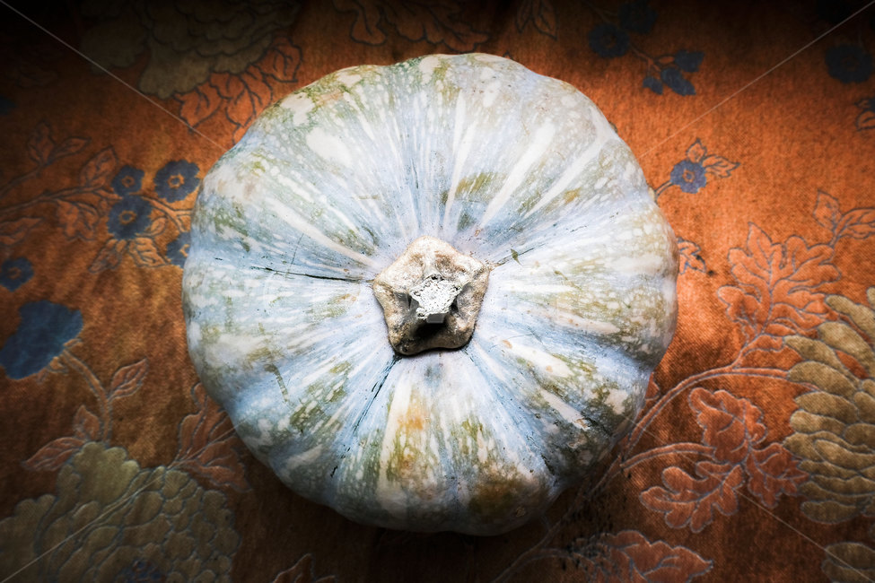 호박,식재료,gourd,식물,plant,closeup,근접촬영,cucurbitaceae,음식,food,pumpkin,야채,vegetable,음식,식재료,요리,food,cook,meal,dishes,food reserves