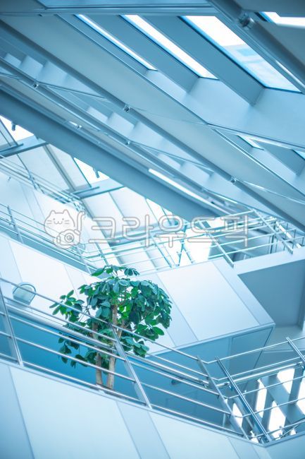 skylight,window,building,architecture